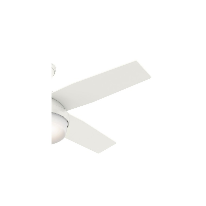 50629_zBlade1