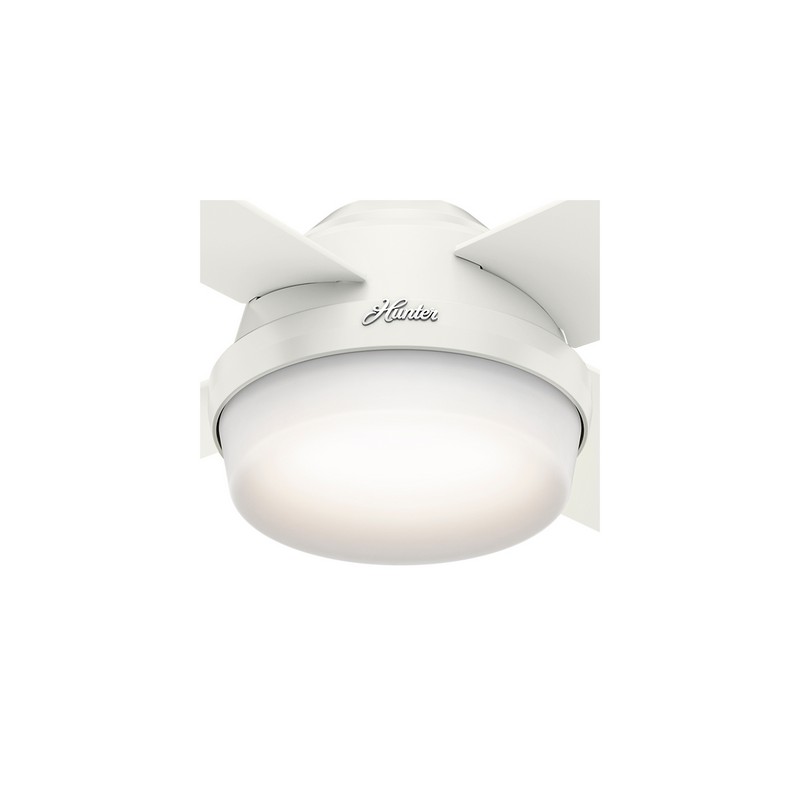 50629_zLight